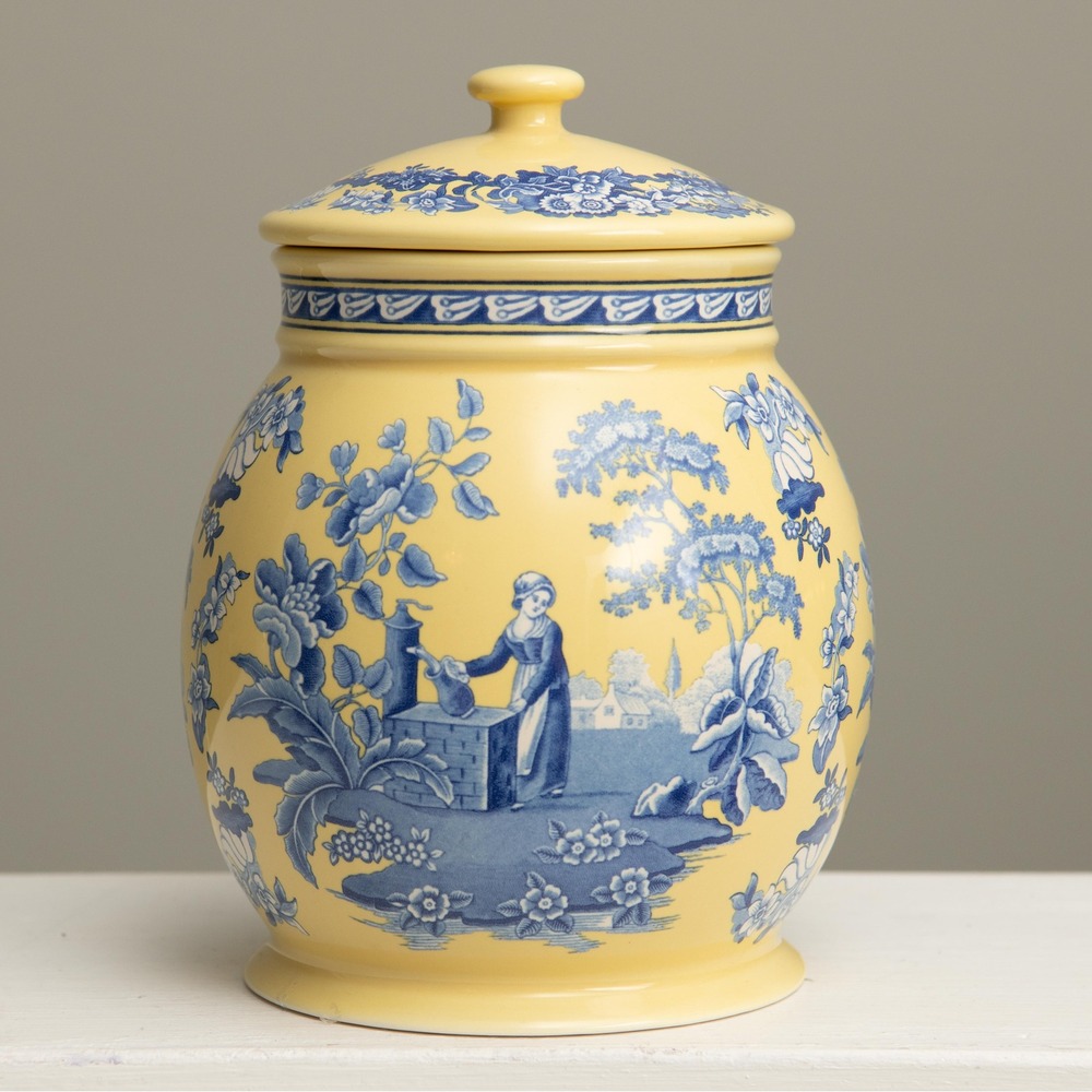 SPODE Blue Room Garden Yellow Canister CottageCore French Country Shabby Chic